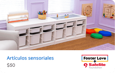 La imagen muestra cómo una donación de $50 ayuda a entregar artículos sensoriales a niños en acogida.